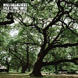Noel Gallagher's High Flying Birds - The Dying of the Light (CDS)