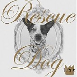 Train - Rescue Dog