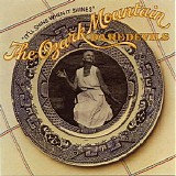 The Ozark Mountain Daredevils - It'll Shine When It Shines