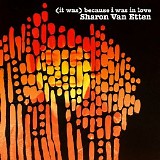 Sharon Van Etten - (It Was) Because I Was In Love (Deluxe Reissue)