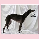 Flat Worms - Flat Worms