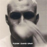 David Gray - Flesh