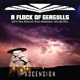 A Flock Of Seagulls - Ascension