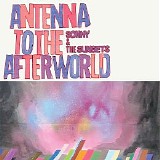 Sonny & The Sunsets - Antenna To The Afterworld