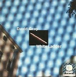 David Gray - White Ladders