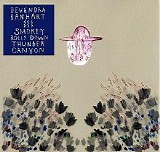 Devendra Banhart - Smokey Rolls Down Thunder Canyon