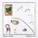 Blake Mills - Mutable Set