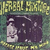 The Groundhogs & The Herbal Mixture - Please Leave My Mind (with Herbal Mixture)