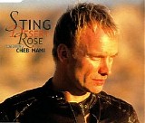 Sting & Cheb Mami - Desert Rose