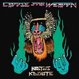 Hiatus Kaiyote - Choose Your Weapon