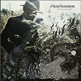 Rich Robinson - The Ceaseless Sight