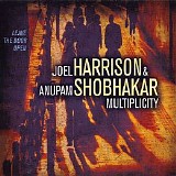 Joel Harrison & Anupam - Leave The Door Open