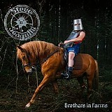 Steve 'n' Seagulls - Brothers In Farms