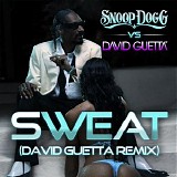 David Guetta & Snoop Dog - Sweat / Wet (Snoop Dogg vs. David Guetta) - Single