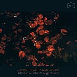 Valance Drakes & Ivan Shopov - A Picture In Motion Through Eternity