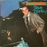 Steve Harley - The Candidate