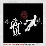 Cash Cash & Andy Grammer - I Found You