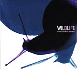 Anthony Phillips & Joji Hirota - Wildlife