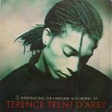 Terence Trent D'Arby - Introducing The Hardline According To Terence Trent D'Arby