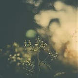 Hotel Neon - Means Of Knowing