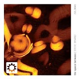 Brand Steve - The Space Between