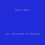 Gibson Sacha - Auto Adjustment In Progress