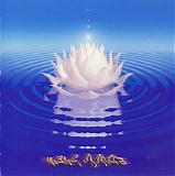 Washburn Sean - Wave Mantra