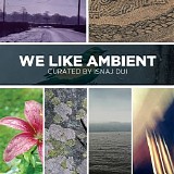 Various artists - We Like Ambient / Curated By Isnaj Dui