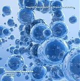 Klimkovsky & Kolesnikov - Brownian Motion