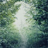 Various artists - Somewhere In Between