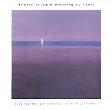 Fripp Robert - A Blessing Of Tears 1995 Soundscapes Volume 2 - Live In California