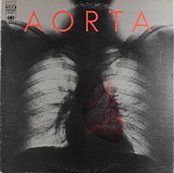 Aorta - Aorta