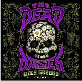 The Dead Daisies - Holy Ground