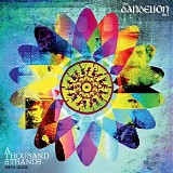 The Dandelion Set - A Thousand Strands 1975-2015