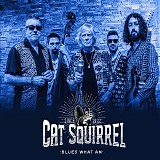 Cat Squirrel - Blues What Am