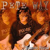 Pete Way - Acoustic Animal