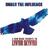 Drive-by Truckers - Under the Influence (a Jam Band Tribute to Lynyrd Skynyrd)