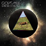 Gov't Mule - Dark Side Of The Mule (Deluxe Edition)