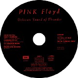 Pink Floyd - Delicate Sound of Thunder