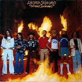 Lynyrd Skynyrd - Street Survivors [UK MCA MCG 3525]