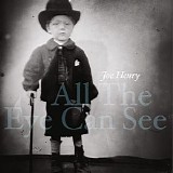 Joe Henry - All the Eye Can See