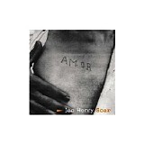 Joe Henry - Scar