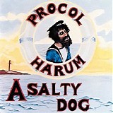 Procol Harum - A Salty Dog (1969) [HR 24bit-96.0kHz]