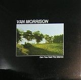 Van Morrison - Can You Feel The Silence