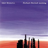 Edie Brickell - Picture Perfect Morning