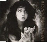 Kate Bush - Aspects of the Sensual World