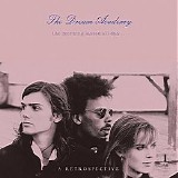 The Dream Academy - The Morning Lasted All Day [A Retrospective]