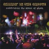 Matthews, Dave - Sharin' The Groove: Celebrating The Music Of Phish