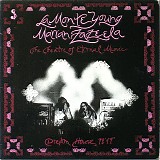 La Monte Young, Marian Zazeela & Theatre Of Eternal Music - Dream House 78'17"