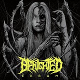 Benighted - Ekbom